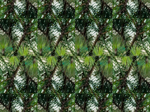 Fond kaléidoscope abstrait vert — Photo