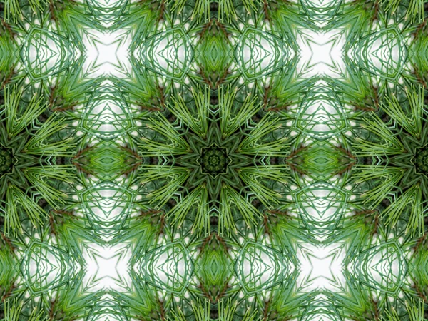 Fond kaléidoscope abstrait vert — Photo