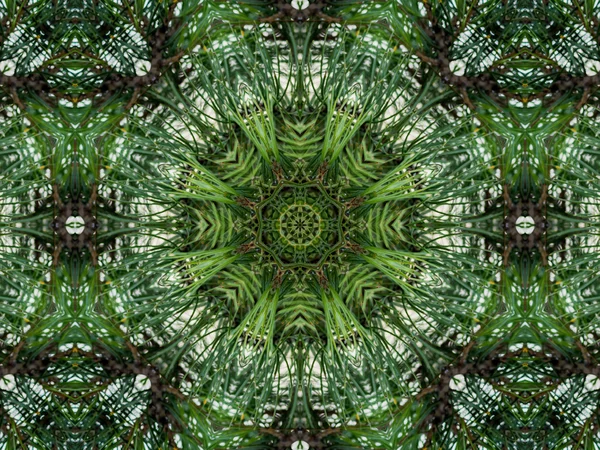 Green abstract kaleidoscope background — Stock Photo, Image