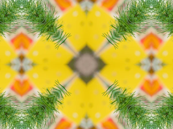 Patroon van Macro Goudsbloem oranje bloem — Stockfoto