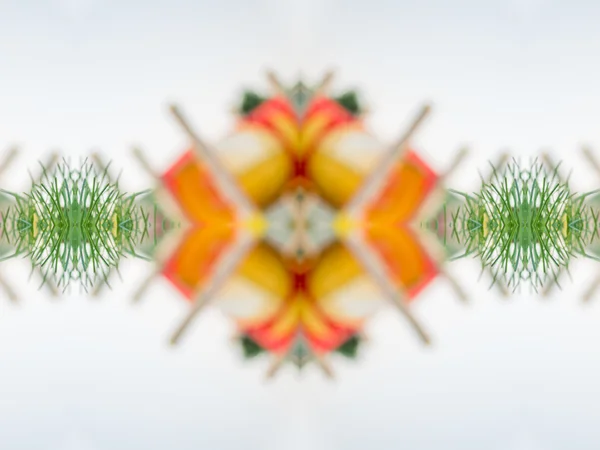 Makro kadife çiçeği Turuncu Çiçek deseni — Stok fotoğraf