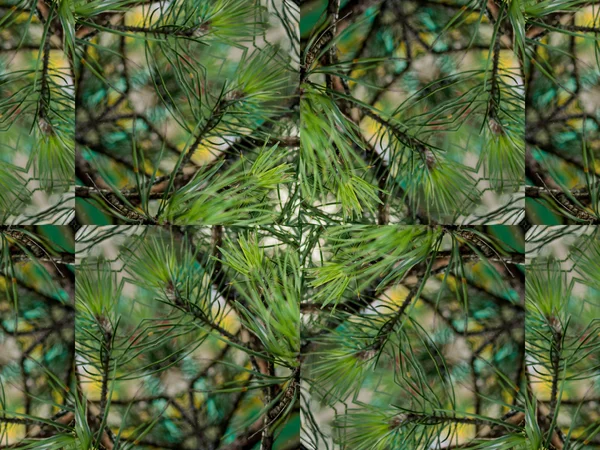 Grüne abstrakte Kaleidoskop Hintergrund — Stockfoto