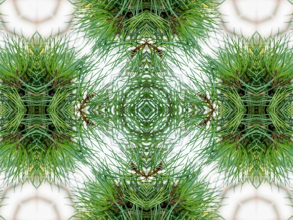 Зеленый абстрактный калейдоскоп — стоковое фото