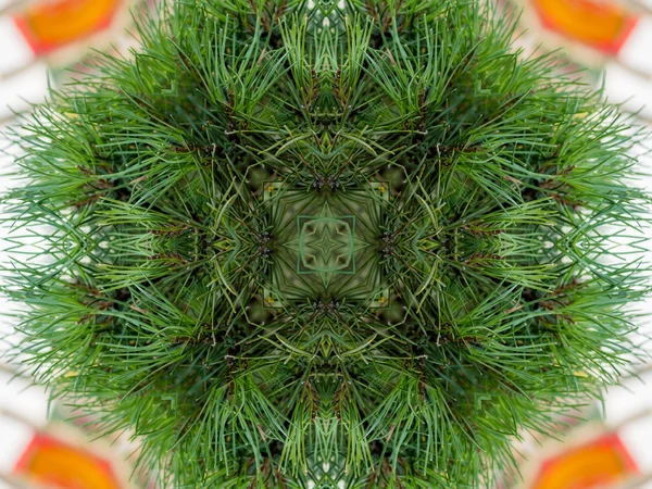 Grüne abstrakte Kaleidoskop Hintergrund — Stockfoto