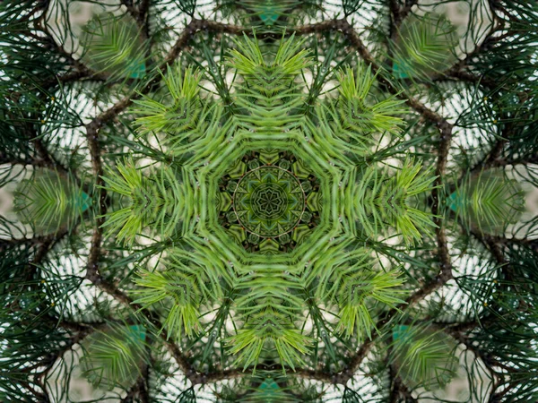 Green abstract kaleidoscope background — Stock Photo, Image