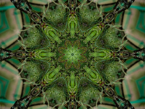 Green abstract kaleidoscope background — Stock Photo, Image