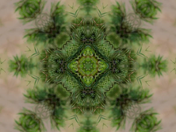 Grüne abstrakte Kaleidoskop Hintergrund — Stockfoto