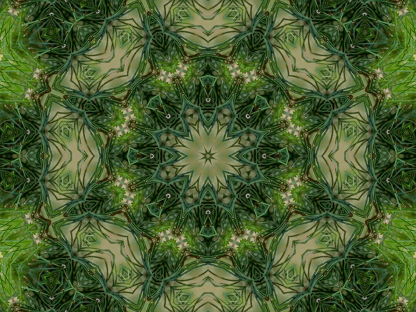 Green abstract kaleidoscope background — Stock Photo, Image