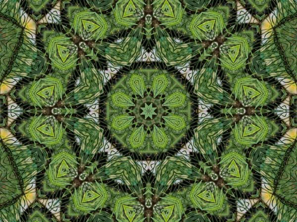 Green abstract kaleidoscope background