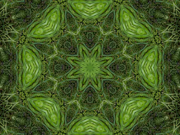 Fondo caleidoscopio abstracto verde —  Fotos de Stock