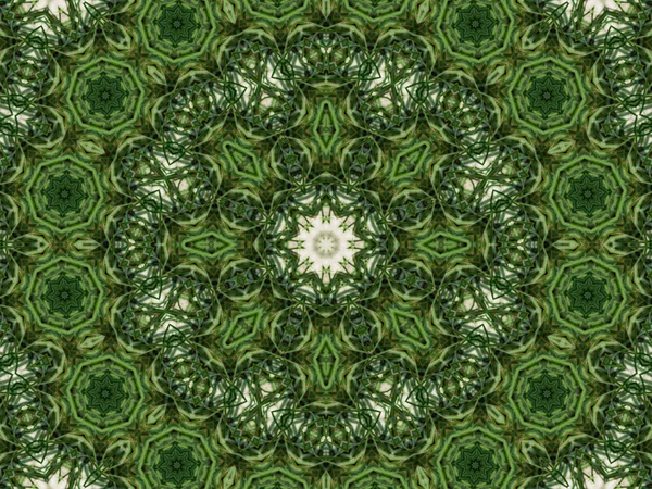 緑の抽象的な万華鏡のバック グラウンド — ストック写真