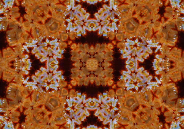 Motif de Macro fleur de souci orange — Photo