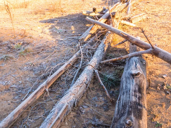 Χειμωνιάτικο τοπίο. Κατεψυγμένα δέντρο στο έδαφος. — Φωτογραφία Αρχείου