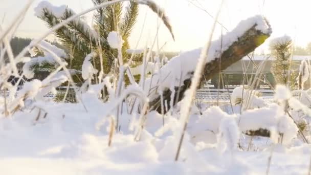 Nézd a mozgó vonat train station raktárban. Téli táj — Stock videók