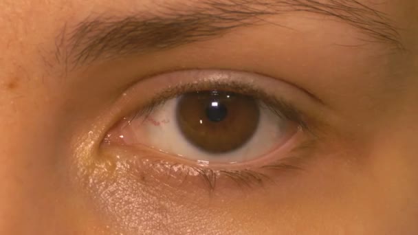 Beauty eye blinking makro close up — Stock Video