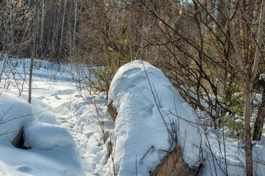 Karla kaplı büyük bir taş güneş ışınlarıyla aydınlatılmış bir düzlükte yatar..