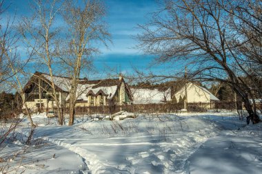 Kış ormanlarında gökyüzüne karşı karla kaplı evler..