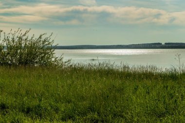 Güneşli bir günde aşırı gelişmiş göl kıyısı.