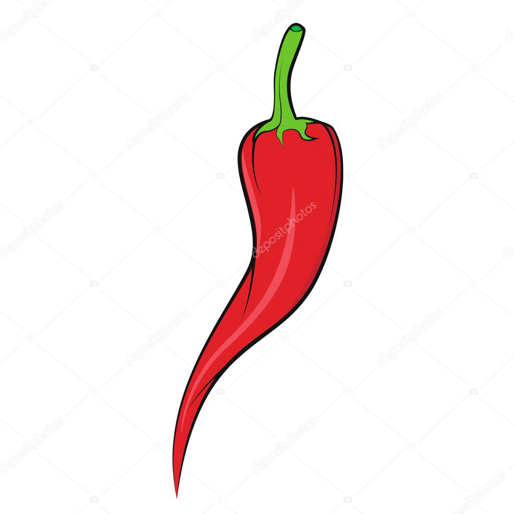 Chili pepper vector isolated. Organic food vector illustration. Vegetable isolated. No background. Vegan food. Fruits vector illustration. Flat cartoon style.
