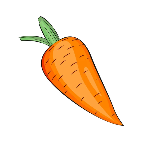 Vector Zanahoria Aislado Ilustración Ecológica Vectores Alimenticios Vegetal Aislado Sin — Vector de stock