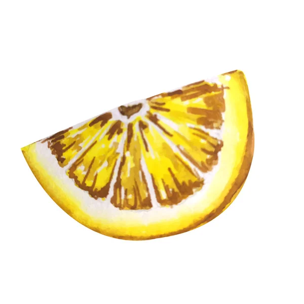 柠檬水彩画 矢量柠檬 水彩画风格 柠檬被隔离了柑橘水仙花图解 — 图库矢量图片