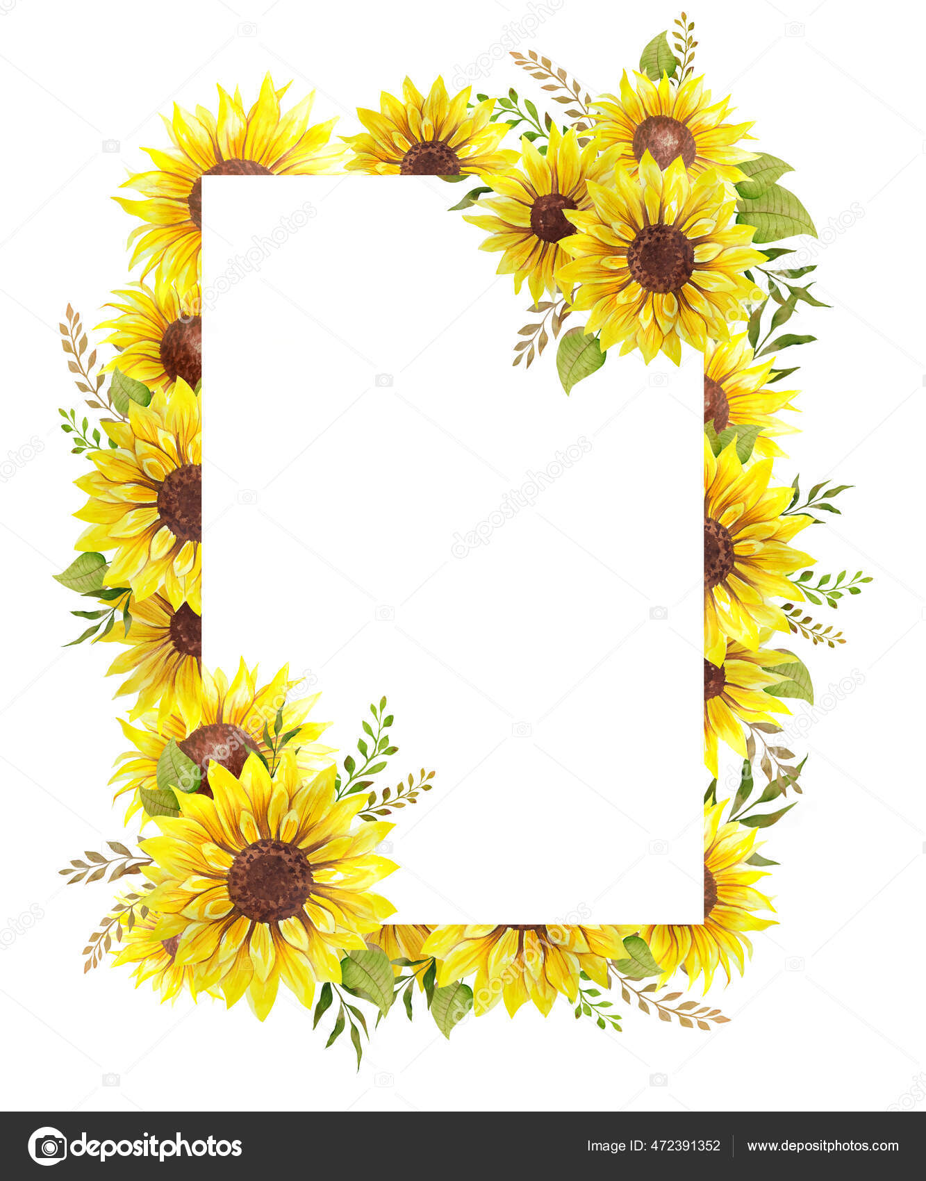 Floral Frames Sunflowers Leaves Watercolor Sunflower Frame White
