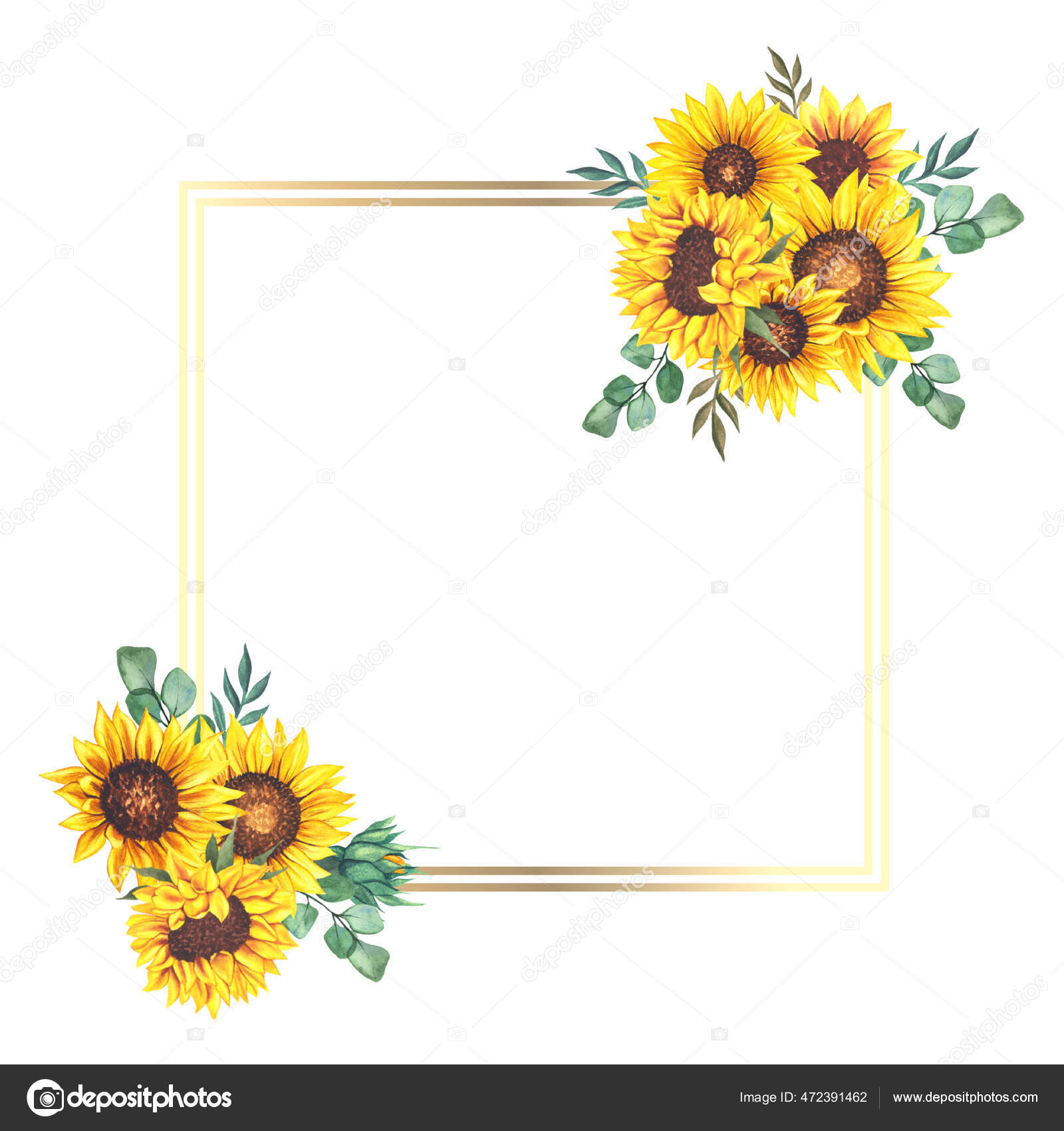 Florale Rahmen Mit Sonnenblumen Und Blattern Aquarell Sonnenblumenrahmen Weisser Hintergrund Stockfotografie Lizenzfreie Fotos C Caraulanart 472391462 Depositphotos