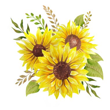 Suluboya ayçiçeği buketi, elle boyanmış ayçiçeği buketleri, ayçiçeği çiçek aranjmanı. Düğün davetiyesi ortamı. Suluboya çiçekleri. Botanik çizimi. Beyaz arkaplan.