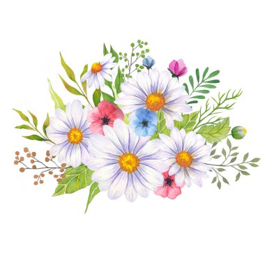 Suluboya papatya buketi, elle boyanmış papatya buketleri, papatya çiçeği aranjmanı. Düğün davetiyesi ortamı. Suluboya çiçekleri. Botanik çizimi. Beyaz arkaplan. Papatya Suluboya.