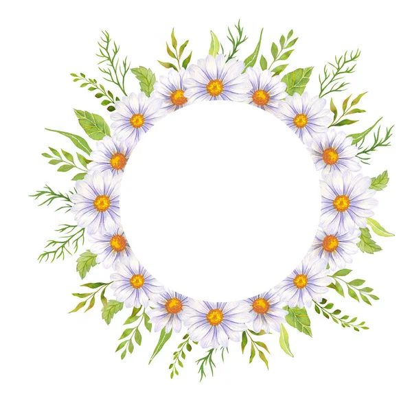 Floral Grinalda Com Margarida Folhas Coroa Margarida Aquarela Fundo Branco — Fotografia de Stock