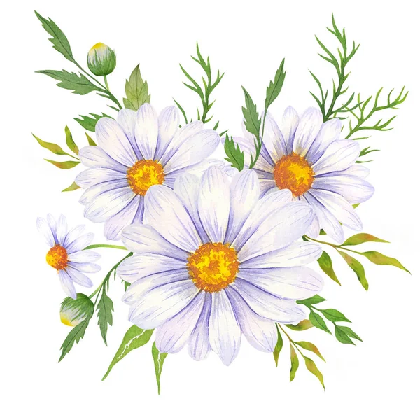 水彩デイジー花束 手描きデイジー花束 デイジーフラワーアレンジメント 結婚式の招待状の要素 水彩の花 植物画 白い背景 カモミール水彩 — ストック写真