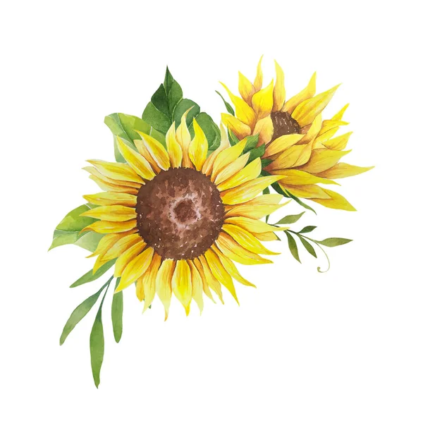 Suluboya ayçiçeği buketi, elle boyanmış ayçiçeği buketleri, ayçiçeği çiçek aranjmanı. Düğün davetiyesi ortamı. Suluboya çiçekleri. Botanik çizimi. Beyaz arkaplan.