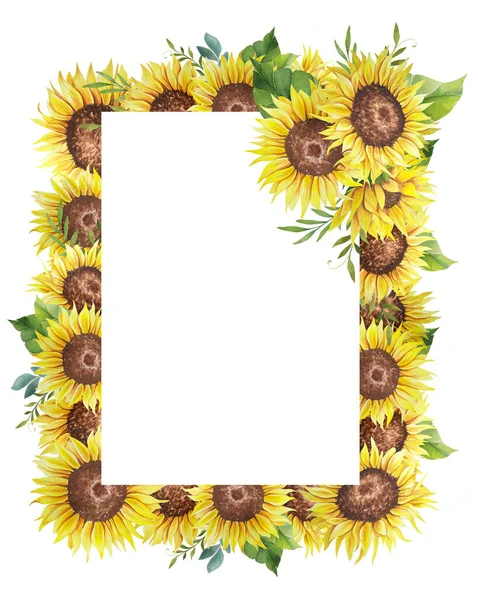 Suluboya Ayçiçeği Çerçevesi. Ayçiçekli ve yapraklı çiçek çerçevesi. Beyaz arka plan. Suluboya çiçekleri. Botanik Çizim.