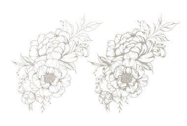 Klasik Peony Line Art. Modaya uygun şakayık buketler ve çiçekler. Botanik Çizgisi Şakayık Koleksiyonu. El yapımı barok çiçek buketleri. Şakayık Özeti