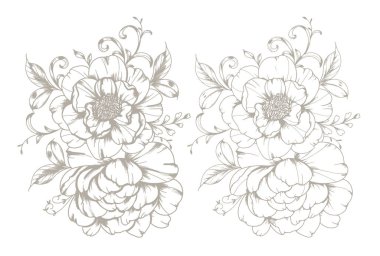 Klasik Peony Line Art. Modaya uygun şakayık buketler ve çiçekler. Botanik Çizgisi Şakayık Koleksiyonu. El yapımı barok çiçek buketleri. Şakayık Özeti