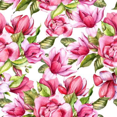 Manolya desensiz elle boyanmış suluboya. Pembe Çiçekli Manolyalar ile Bahar Kusursuz arkaplan