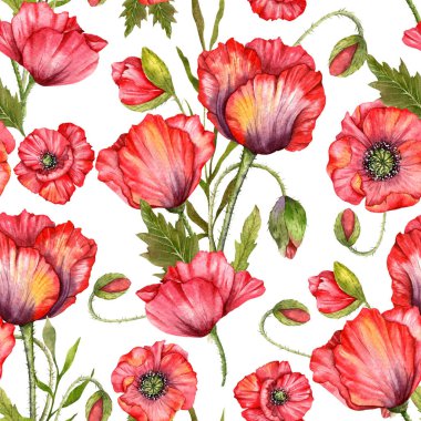 Haşhaş desensiz, el boyalı suluboya. Kırmızı Çiçekli Poppie ile Kusursuz Yaz arkaplanı