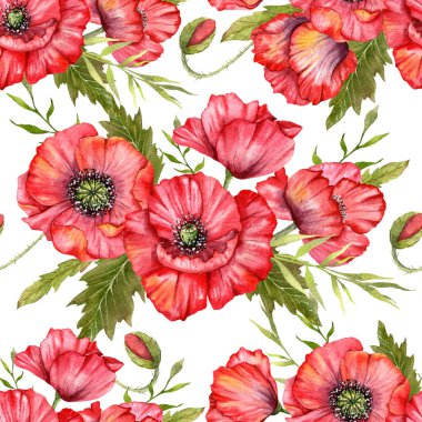 Haşhaş desensiz, el boyalı suluboya. Kırmızı Çiçekli Poppie ile Kusursuz Yaz arkaplanı