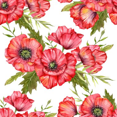 Haşhaş desensiz, el boyalı suluboya. Kırmızı Çiçekli Poppie ile Kusursuz Yaz arkaplanı