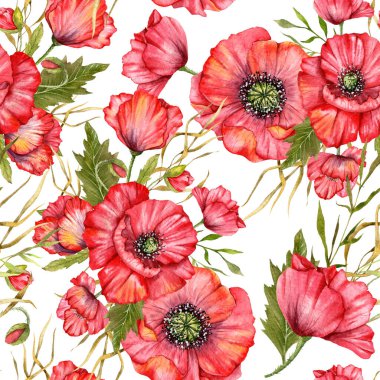 Haşhaş desensiz, el boyalı suluboya. Kırmızı Çiçekli Poppie ile Kusursuz Yaz arkaplanı