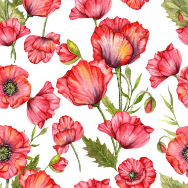 Haşhaş desensiz, el boyalı suluboya. Kırmızı Çiçekli Poppie ile Kusursuz Yaz arkaplanı