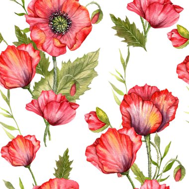 Haşhaş desensiz, el boyalı suluboya. Kırmızı Çiçekli Poppie ile Kusursuz Yaz arkaplanı