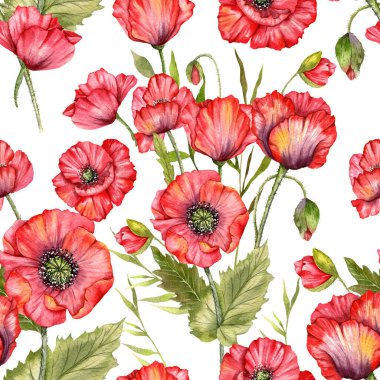 Haşhaş desensiz, el boyalı suluboya. Kırmızı Çiçekli Poppie ile Kusursuz Yaz arkaplanı