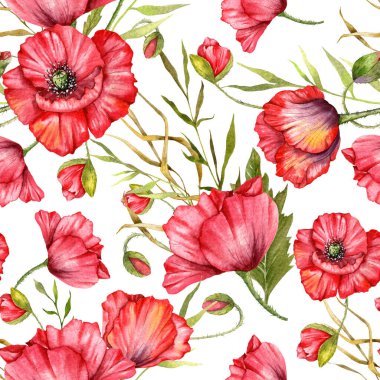 Haşhaş desensiz, el boyalı suluboya. Kırmızı Çiçekli Poppie ile Kusursuz Yaz arkaplanı