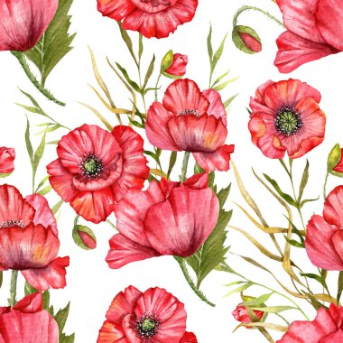 Haşhaş desensiz, el boyalı suluboya. Kırmızı Çiçekli Poppie ile Kusursuz Yaz arkaplanı