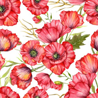 Haşhaş desensiz, el boyalı suluboya. Kırmızı Çiçekli Poppie ile Kusursuz Yaz arkaplanı