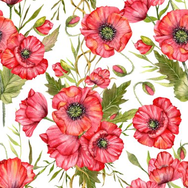 Haşhaş desensiz, el boyalı suluboya. Kırmızı Çiçekli Poppie ile Kusursuz Yaz arkaplanı