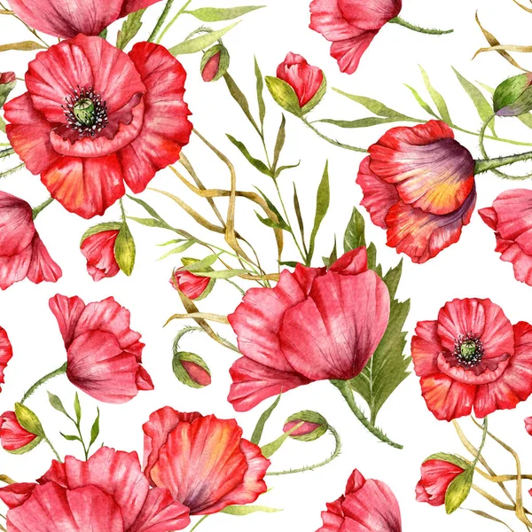 Haşhaş desensiz, el boyalı suluboya. Kırmızı Çiçekli Poppie ile Kusursuz Yaz arkaplanı