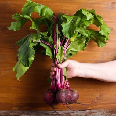 Beetroots pancar üstleri ile 