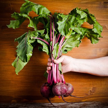 Beetroots pancar üstleri ile 